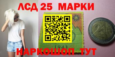 a pvp Свободный