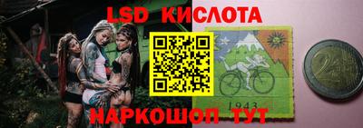 a pvp Свободный