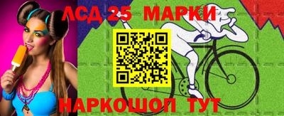 a pvp Свободный