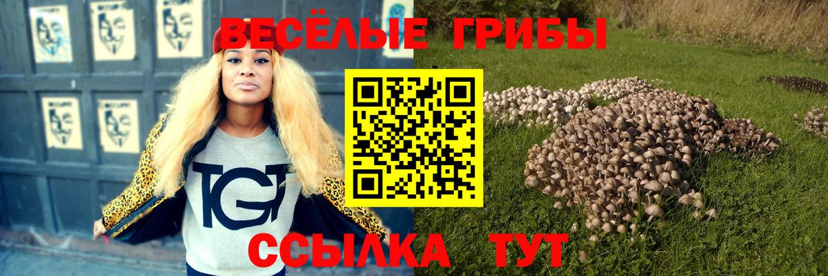 Псилоцибиновые грибы Magic Shrooms Осинники